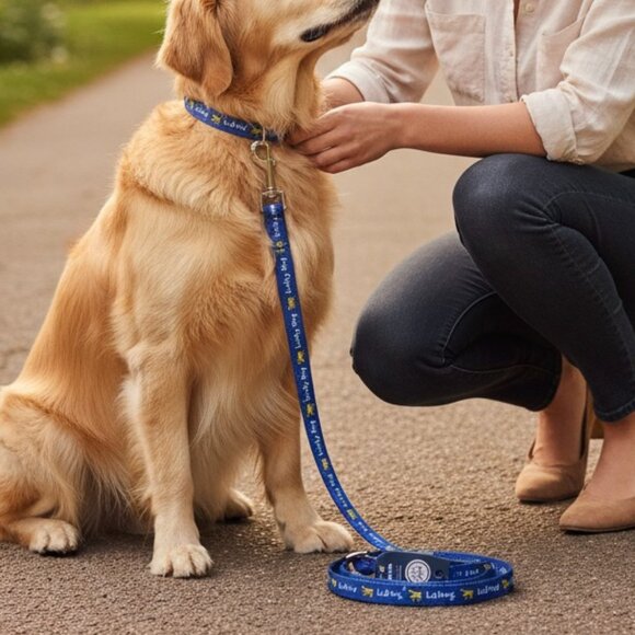 Life Is Good Leash & Collar Set - Picture 1 of 5